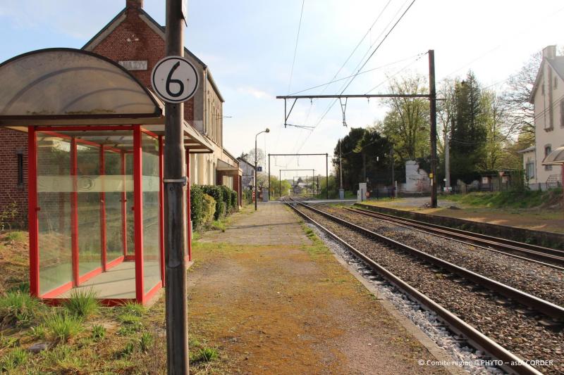 Gare et chemin de fer en Wallonie (espace public)