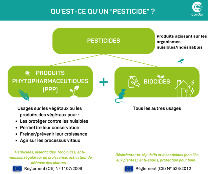 Qu'est-ce qu'un pesticide ?