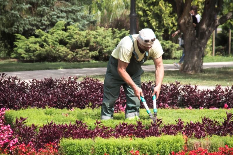 Entretien espaces verts