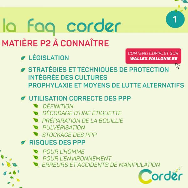 FAQ CORDER P2.1