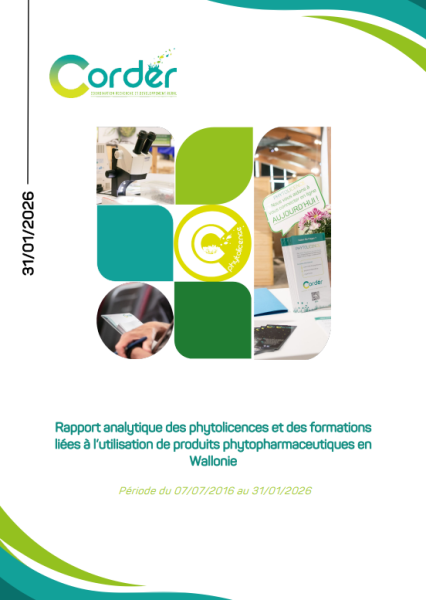 Rapport PL wallonie 1