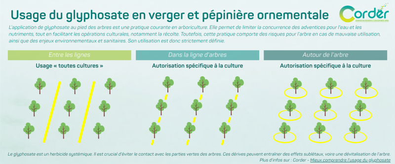 glyphosate-verger