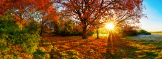 couverture-automne-2026