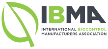IBMA