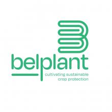 Belplant