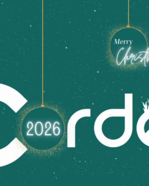 bannière vœux 2025