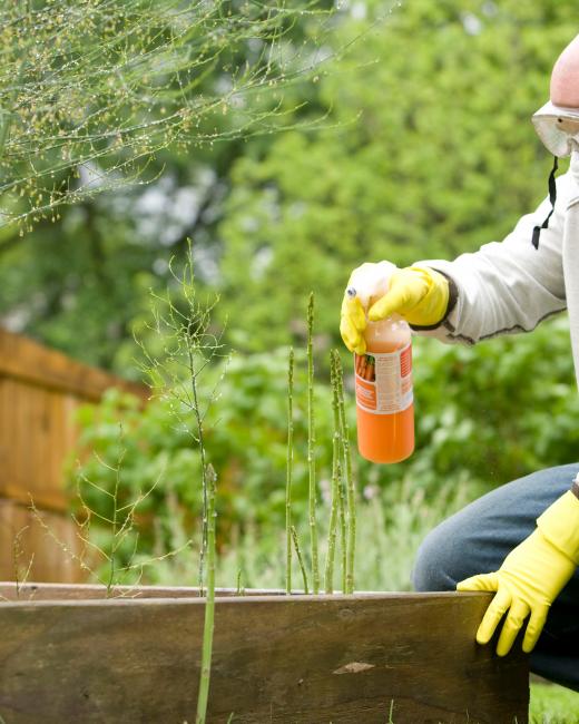 PPP/Biocides