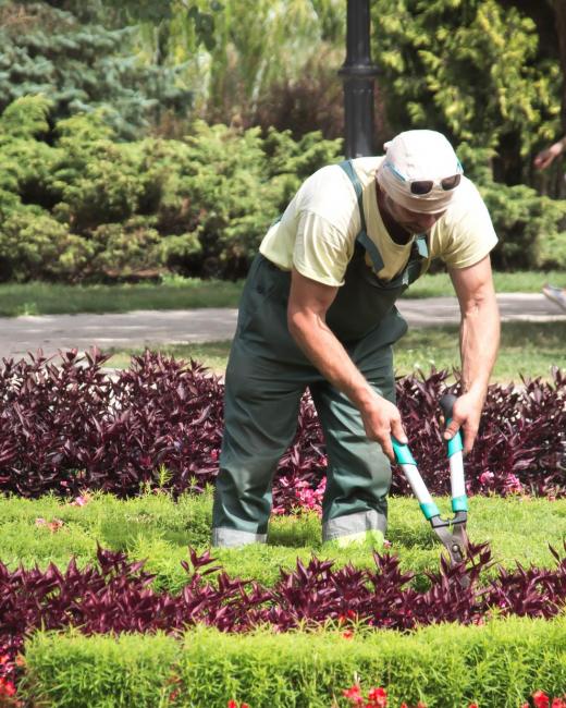Entretien espaces verts