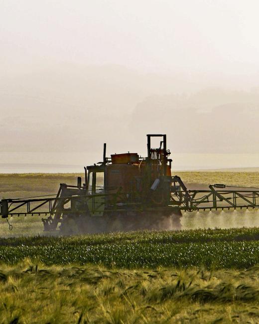 Pulvérisation champ