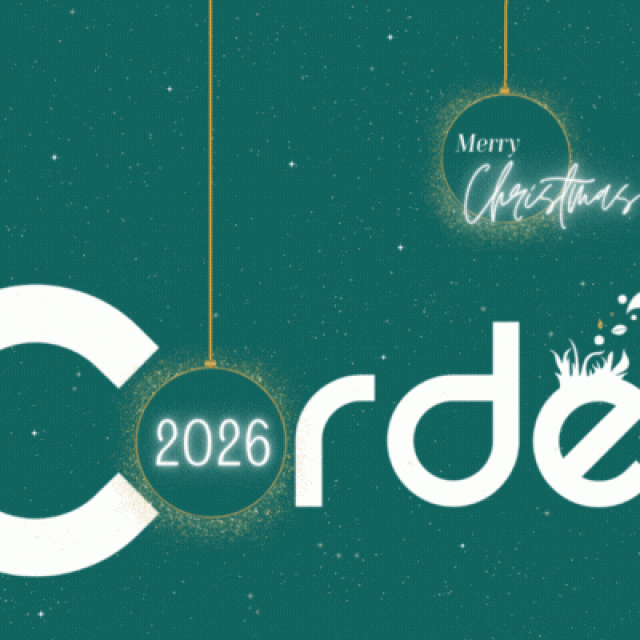 bannière vœux 2025