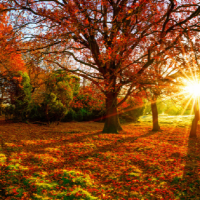 couverture-automne-2026