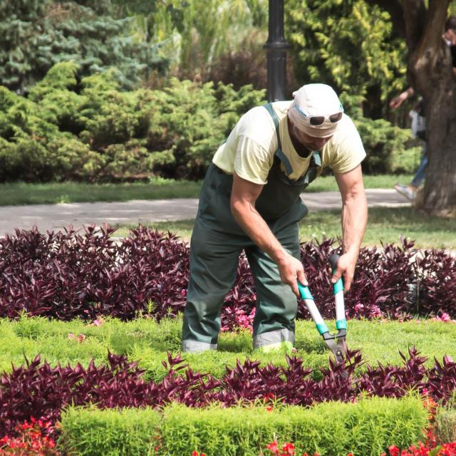 Entretien espaces verts